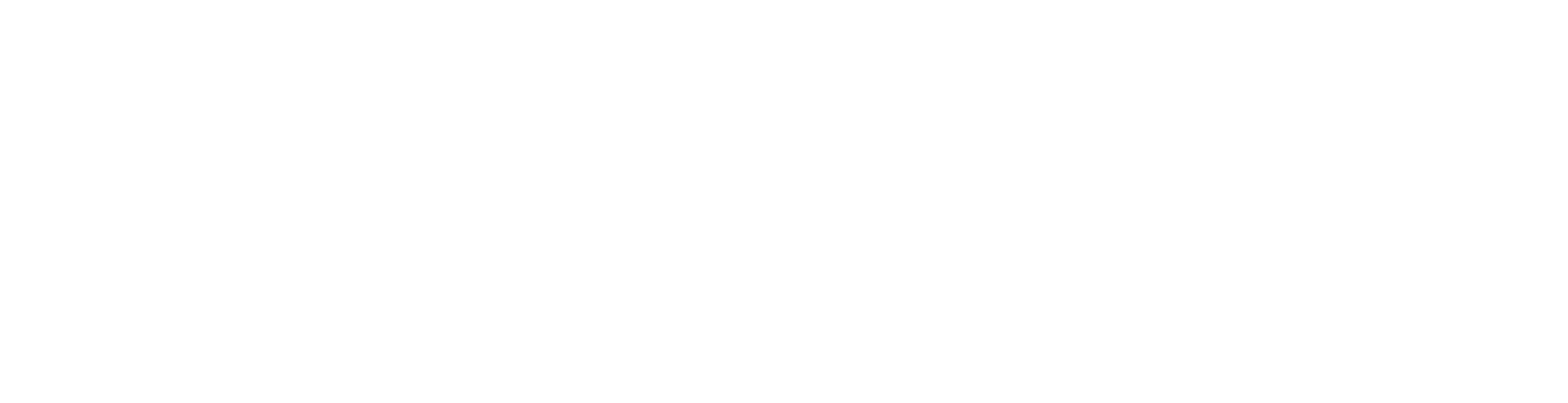Logo - Sempre Internet